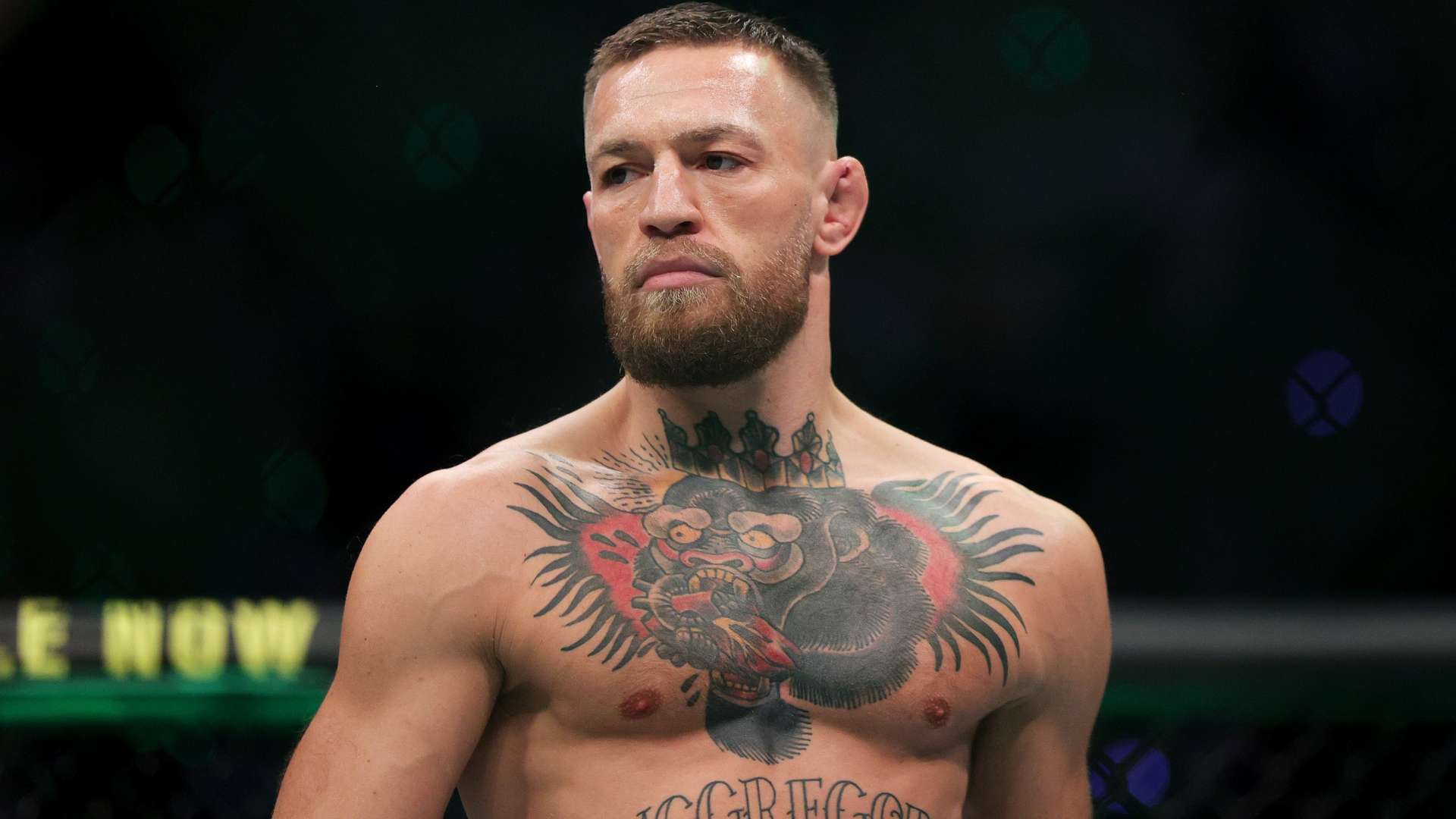 让整个团队 让整个团队